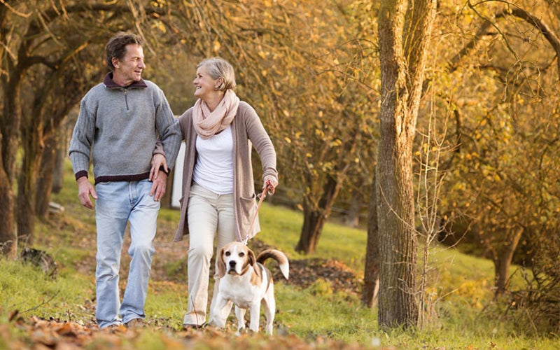 5 Reasons Whey Protein Isolate is Better Than Concentrate