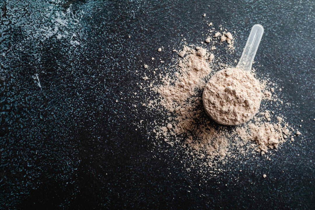 best whey protein to lower cholesterol