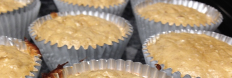 Apple Cinna-Skinny Muffins
