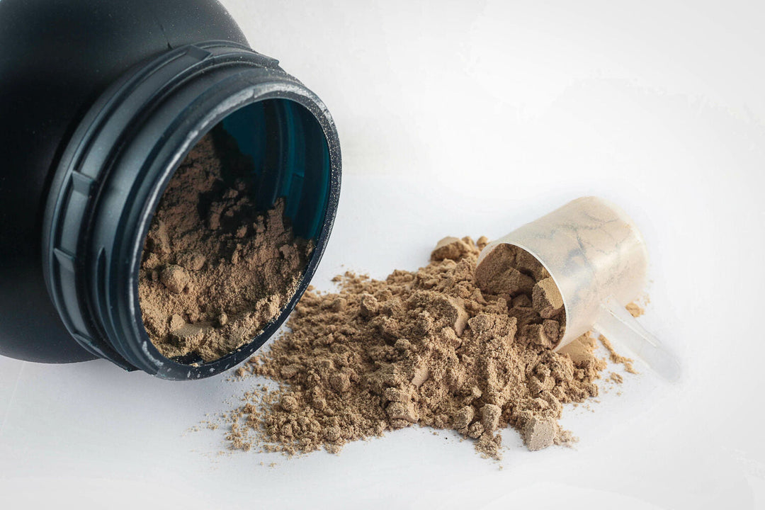 best chocolate protein powder for weight loss