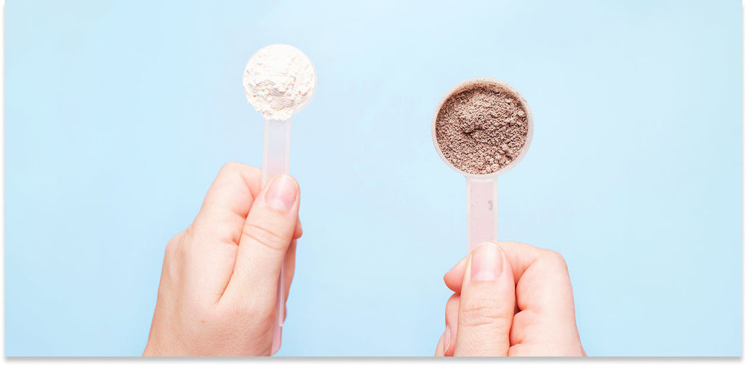 Plant Protein Vs. Whey: Which Is Better for an Inflamed Gut?