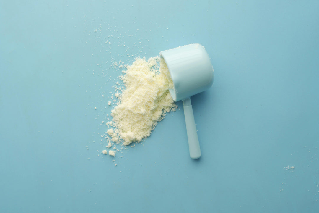 best protein shake recipes for weight loss