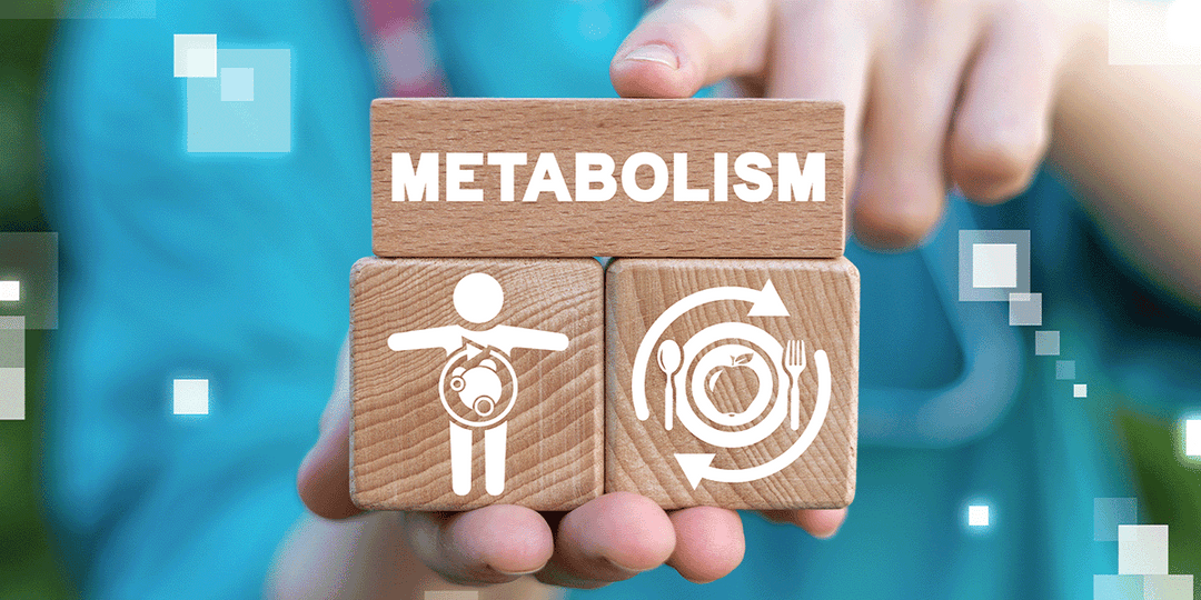 How to Understand & Take Control of Your Metabolism