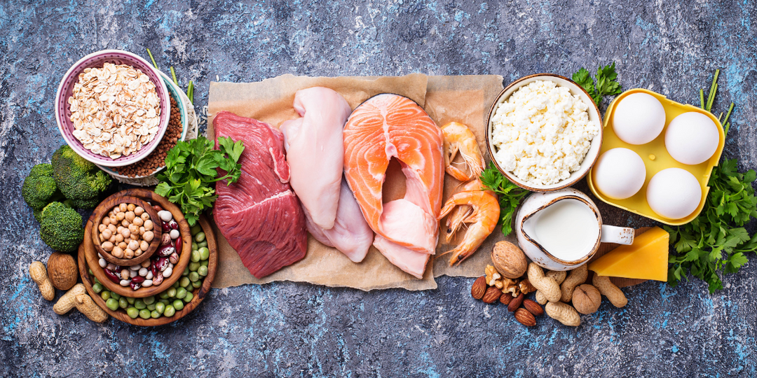 Understanding the Role of Protein in Weight Loss