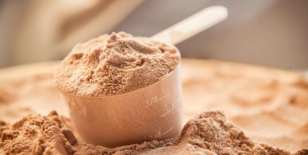 Why Whey Protein?