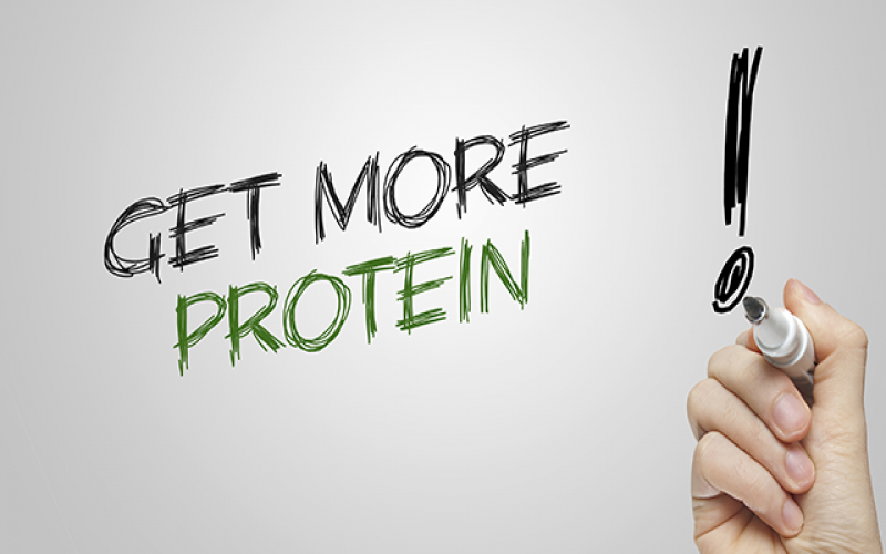 Study After Study: More Protein, More Protein, More Protein!